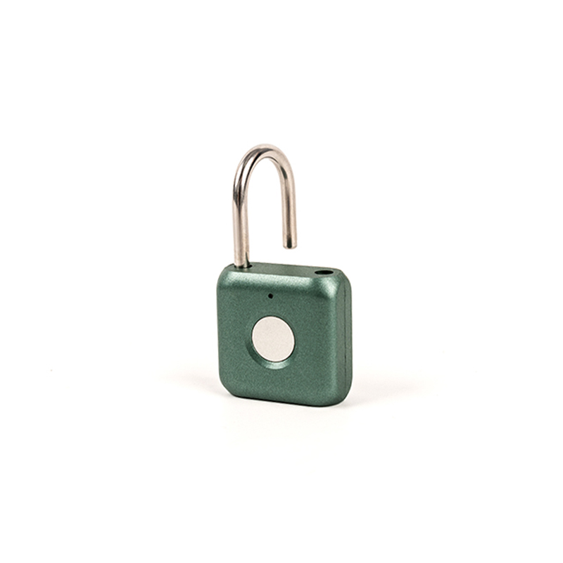 0.1kg carburized steel material fingerprint padlock