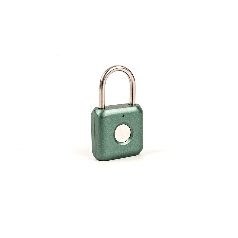 0.1kg carburized steel material fingerprint padlock