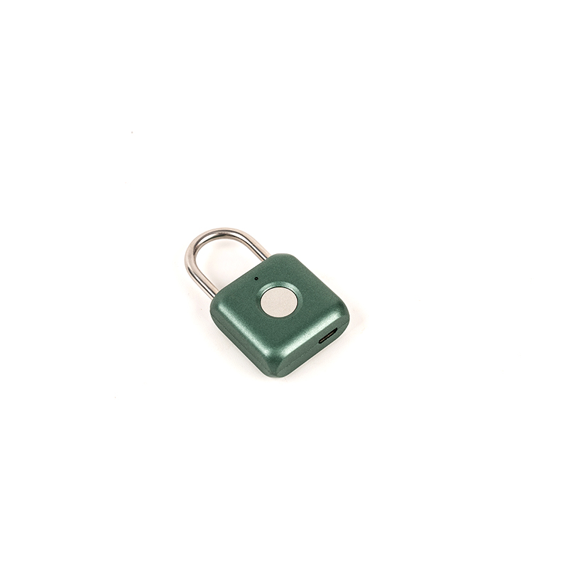0.1kg carburized steel material fingerprint padlock